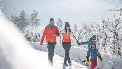 Familie wandert auf einem verschneiten Weg zwischen schneebedeckten Bäumen
