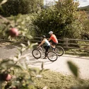 Zwei Personen fahren auf Fahrrädern auf einem Waldweg vorbei an Obstbäumen