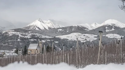 Verschneite Weinberge vor einem Dorf und schneebedeckten Bergen