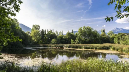 Teich mit Gräsern und Bäumen vor Bergen unter blauem Himmel