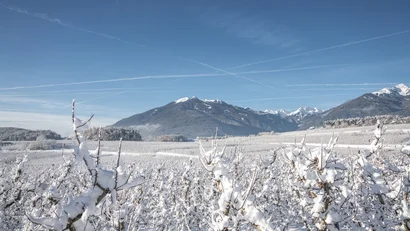 Verschneite Felder und Sträucher vor einer Bergkette unter blauem Himmel
