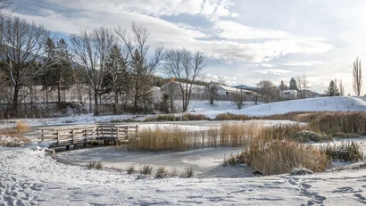 Verschneiter Teich mit zugefrorener Wasserfläche, Holzsteg und kahlen Bäumen im Winter