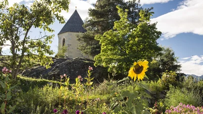 Sonnenblume und bunte Blumen in einem Garten mit Kirche und blauem Himmel