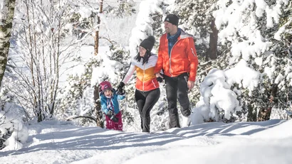 Eine Familie wandert durch einen verschneiten Wald